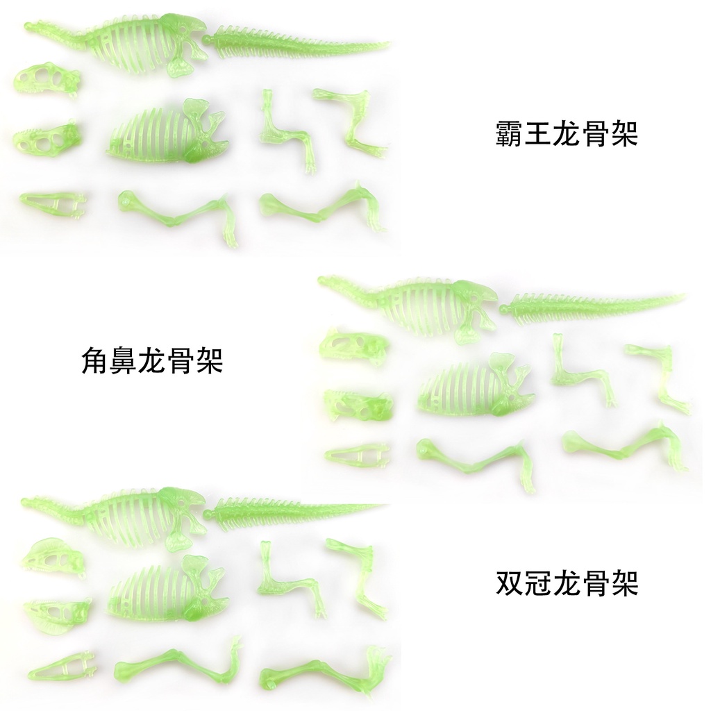 Bộ Xương Khủng Long Đồ Chơi Dạ Quang Cho Bé
