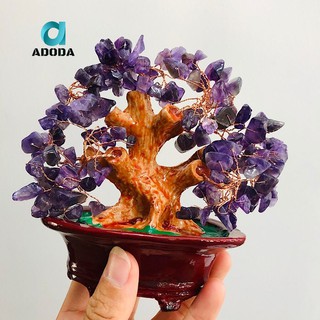 Cây Tài Lộc Màu Tím Dành Cho Người Mệnh Thổ Và Hỏa, Phù Hợp Để Bàn Làm Việc, Size Nhỏ