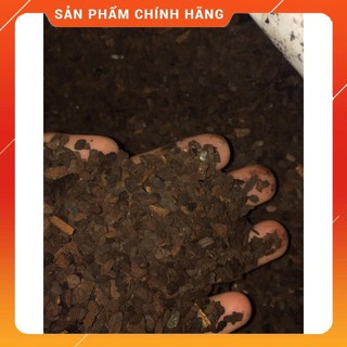 1kg Vỏ thông Orchiata New Zealand size 3-6mm