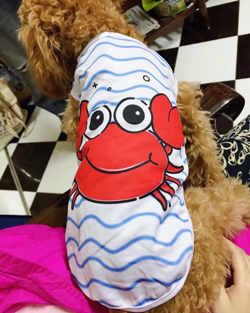 Áo thun cua cho thú cưng