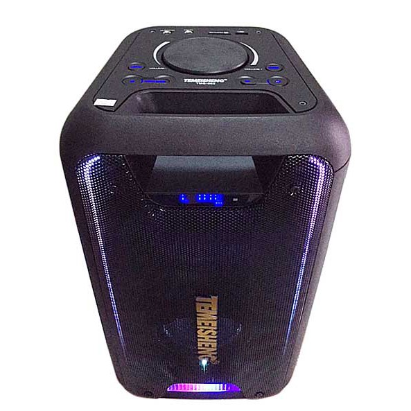 Loa bluetooth karaoke Temeisheng TMS-502