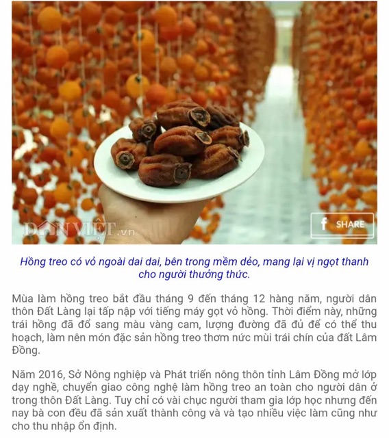 Hồng treo gió Cầu Đất- Đà Lạt | BigBuy360 - bigbuy360.vn