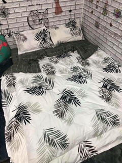 Bộ Drap & Chăn Phao Cotton Poly Lá Me Trắng