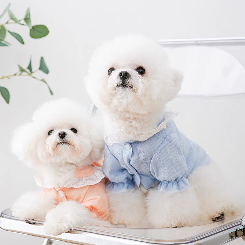 Áo tay phồng búp bê cho thú cưng