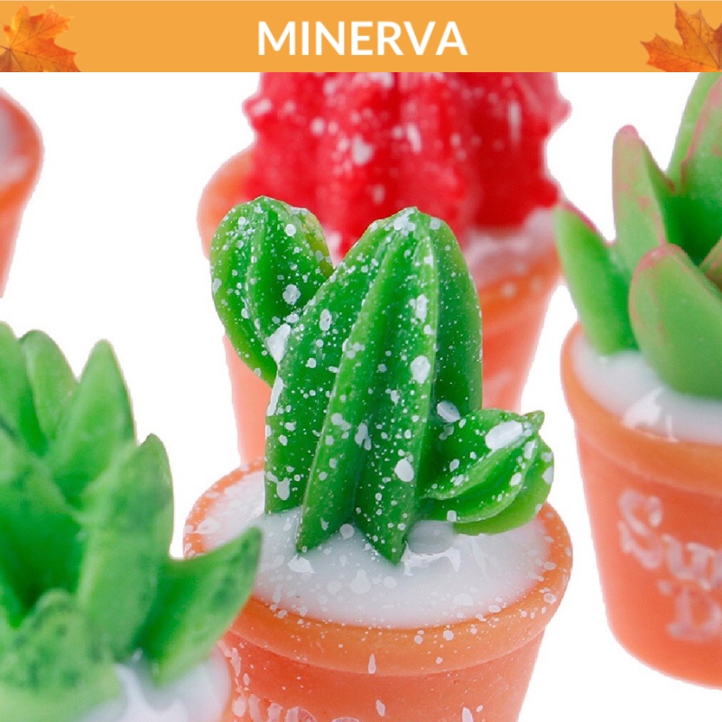 TIỂU CẢNH Chậu cây xương rồng mini mô hình trang trí tiểu cảnh, sân vườn, chậu cây kiểng