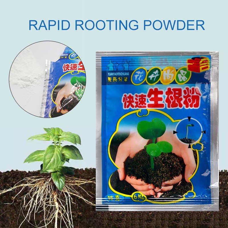 Bột Rapid Rooting hormone chuyên kích rễ cây trồng, kích nảy mầm hạt giống