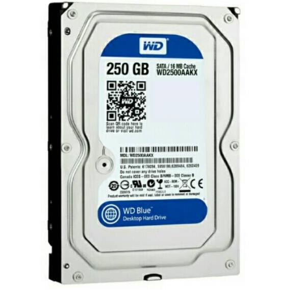 Ổ cứng trong Wd Blue 250GB