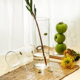 Lọ Hoa Thủy Tinh Trụ Tròn Đường Kính 12cm