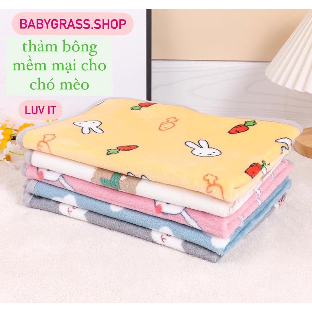 Phụ kiện thú cưng, chăn lót ngủ chó mèo