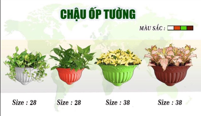 Chậu bán nguyệt ốp tường - 28cm và 38 cm.