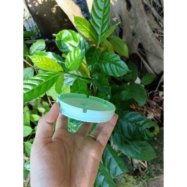 Nắp nhựa thay thế máy xay Hatties