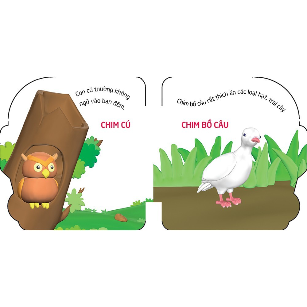 Sách - Thế Giới Trong Mắt Em - Chim