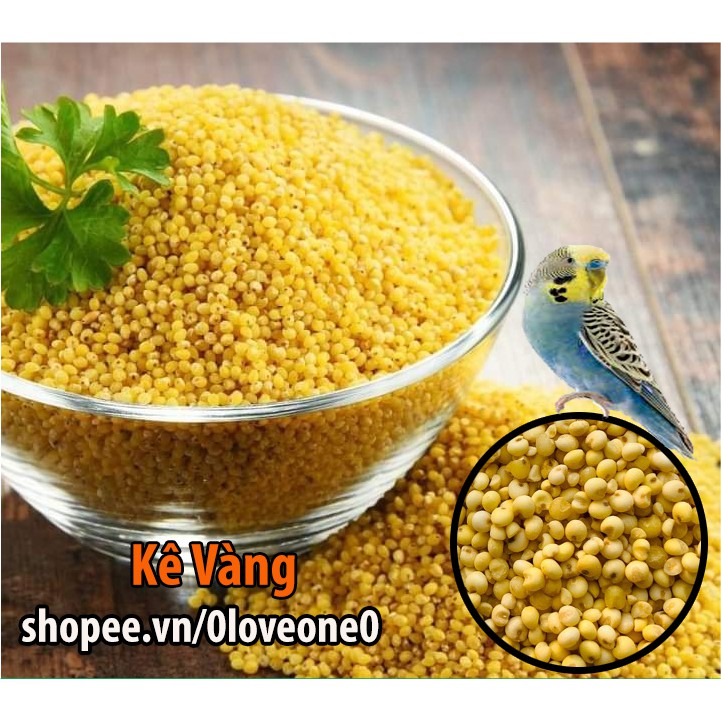 1kg Hạt Kê Vàng giàu dinh dưỡng cho Chim - Gà - Hamster - Rat