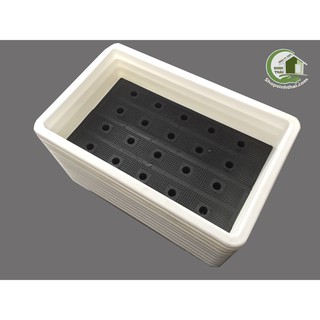 Khay chậu nhựa trồng rau thông minh 2 đáy màu trắng 67x43x15cm