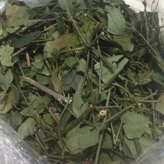 Chè vằng sẻ tận gốc!