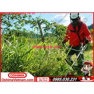 Máy cắt cỏ Oshima TW 35 (TW35)