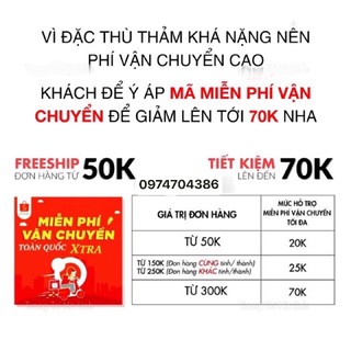 trải sàn vân gỗ chống cháy