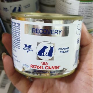 Pate phục hồi sức khỏe cho chó mèo 195gr - hachikopetshop