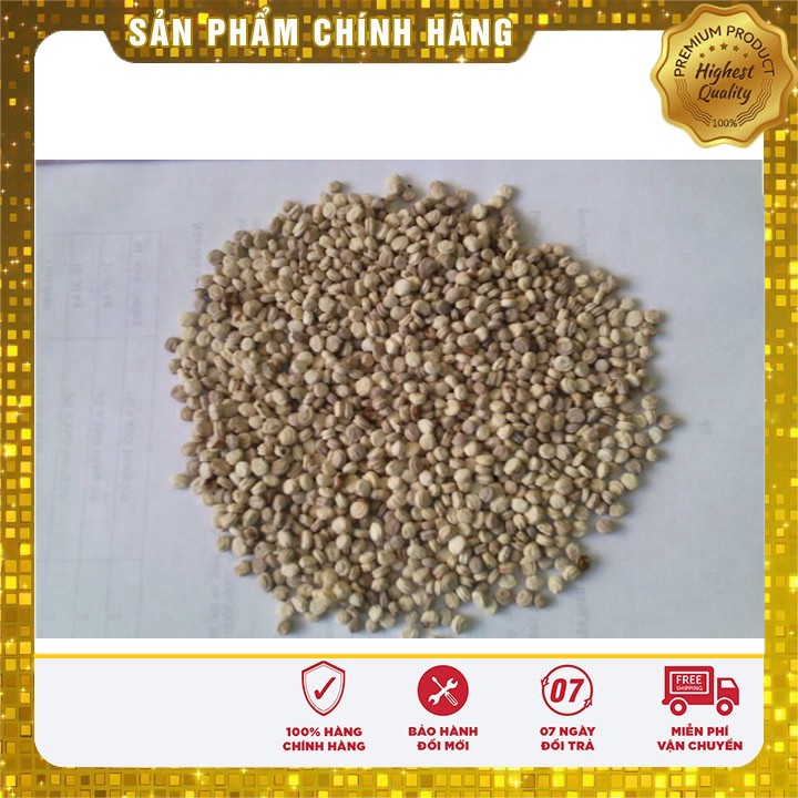 Hạt Giống Sâm Hàn Quốc -sâm cao ly (5 hạt)