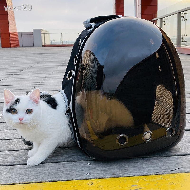 Túi đựng mèo đi chơi ba lô xách tay đeo vai thú cưng thỏ không gian trong suốt thân chó nhỏ