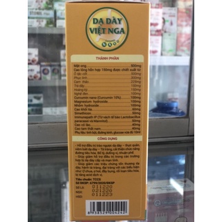 Dạ Dày Việt Nga