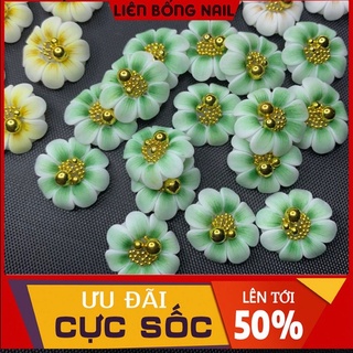 hoa bột nail- hướng dương