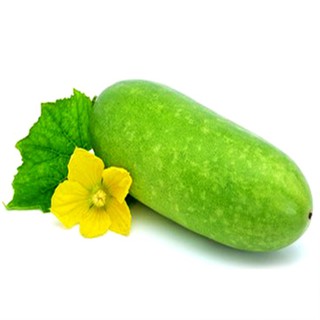 hạt giống bí đao xanh quả ngắn ( gói 10 hạt )