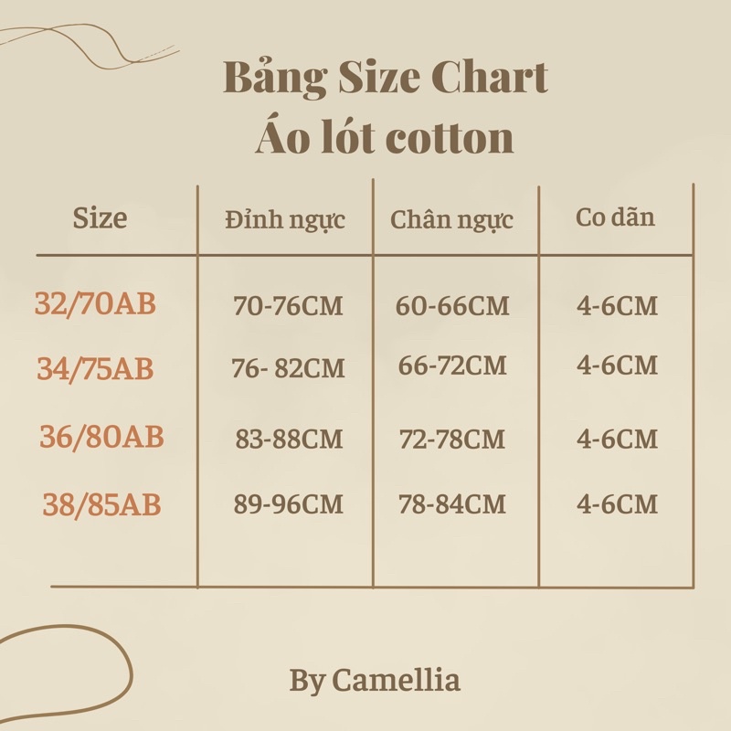 Áo lót nâng ngực cotton thoáng mát