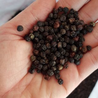 Combo 5Kg Hạt Tiêu Đen