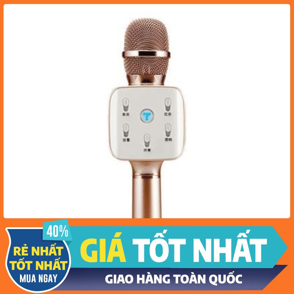 Mic karaoke Q10 plus