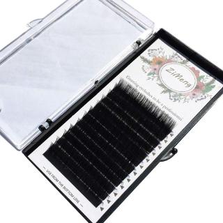 Mi giả 3D cao cấp 0.15mm 12 dòng Curl C D