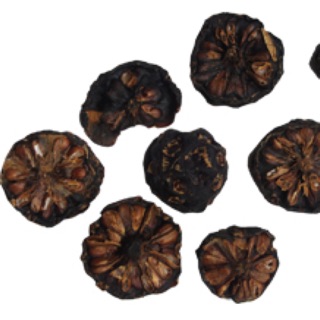[freeship 99k toàn quốc 1 kg nhàu khô tây nguyên