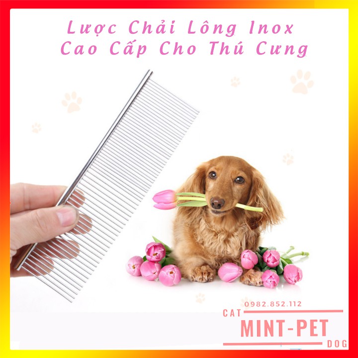 Lược Chải Lông Spa Inox Cho Chó Mèo Giá Rẻ #MintPet