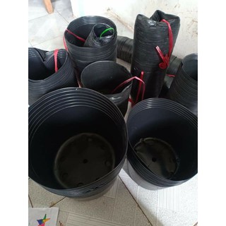Combo 50 cái chậu nhựa C7