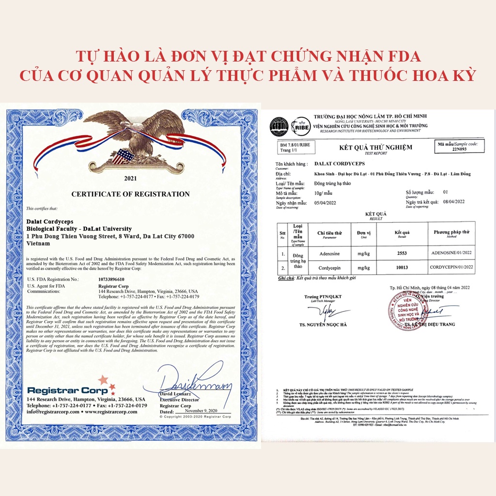 Nấm đông trùng hạ thảo khô sấy thăng hoa - Nhộng Ký Chủ - Nuôi trồng 100% Organic tại Cao nguyên Đà Lạt