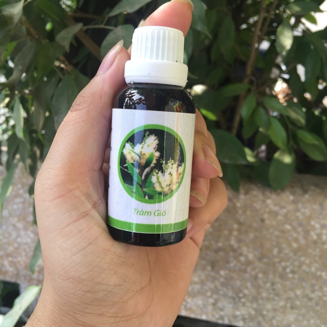 Tinh dầu tràm gió lọ 10ml_30ml_100ml