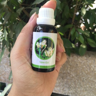 Tinh dầu tràm gió
