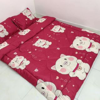 Set phao poly- được chọn mẫu