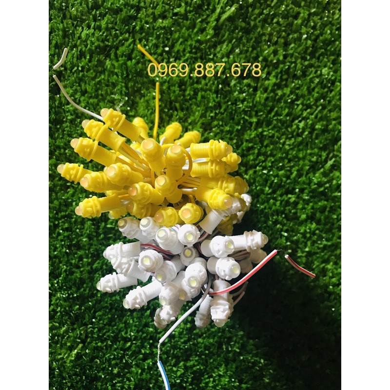 Led đúc f5 12v kín nước, đèn led đúc f5 trang trí đế 9mm