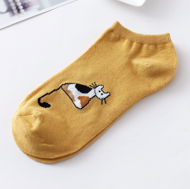 SET TẤT MÈO HOA QUẢ
