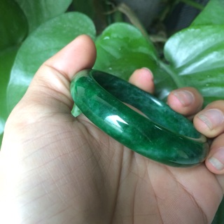 Combor vòng va hồ ly 