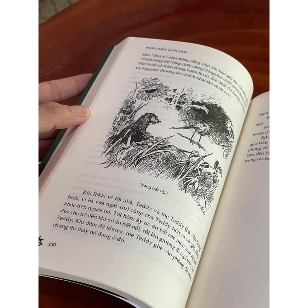 Sách - Chuyện Rừng Xanh - Rudyard Kipling - Bìa Mềm - Bình Book