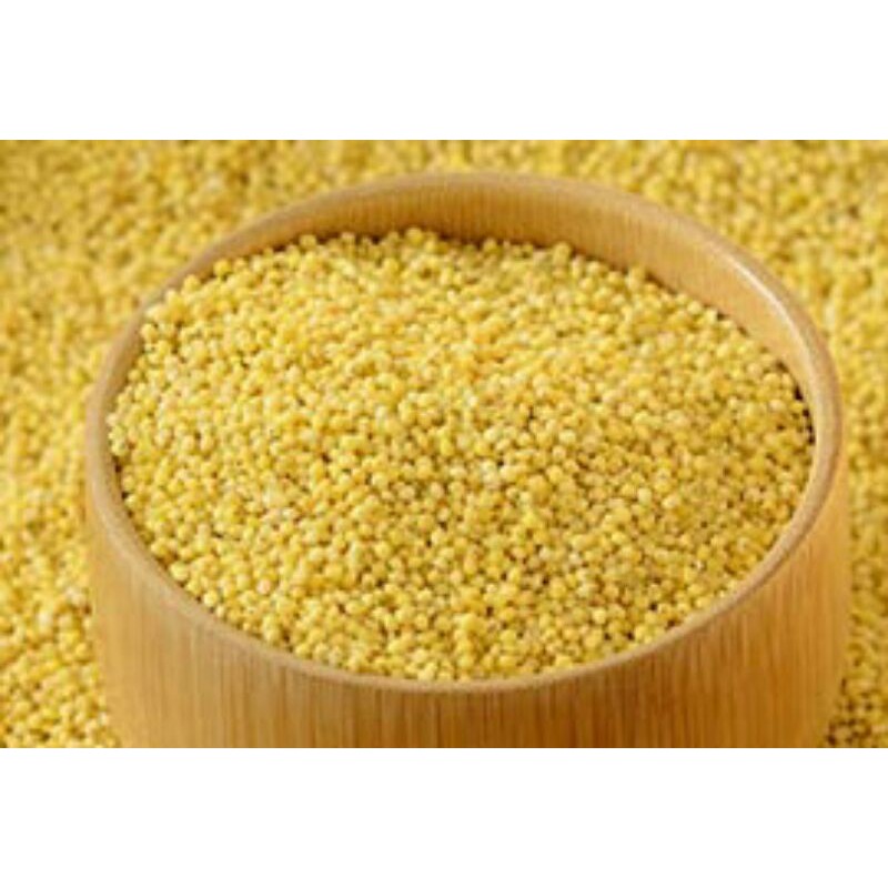 sỉ lẻ hạt kê 100g - 200g - 300g