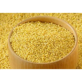 Sỉ lẻ hạt kê 100g - 200g - 300g