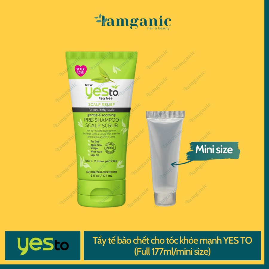 (Mini Size) Tẩy tế bào chết da đầu và tóc Yes To Tea Tree - Giảm gàu, giảm bế tóc, kiềm dầu cho da đầu hiệu quả