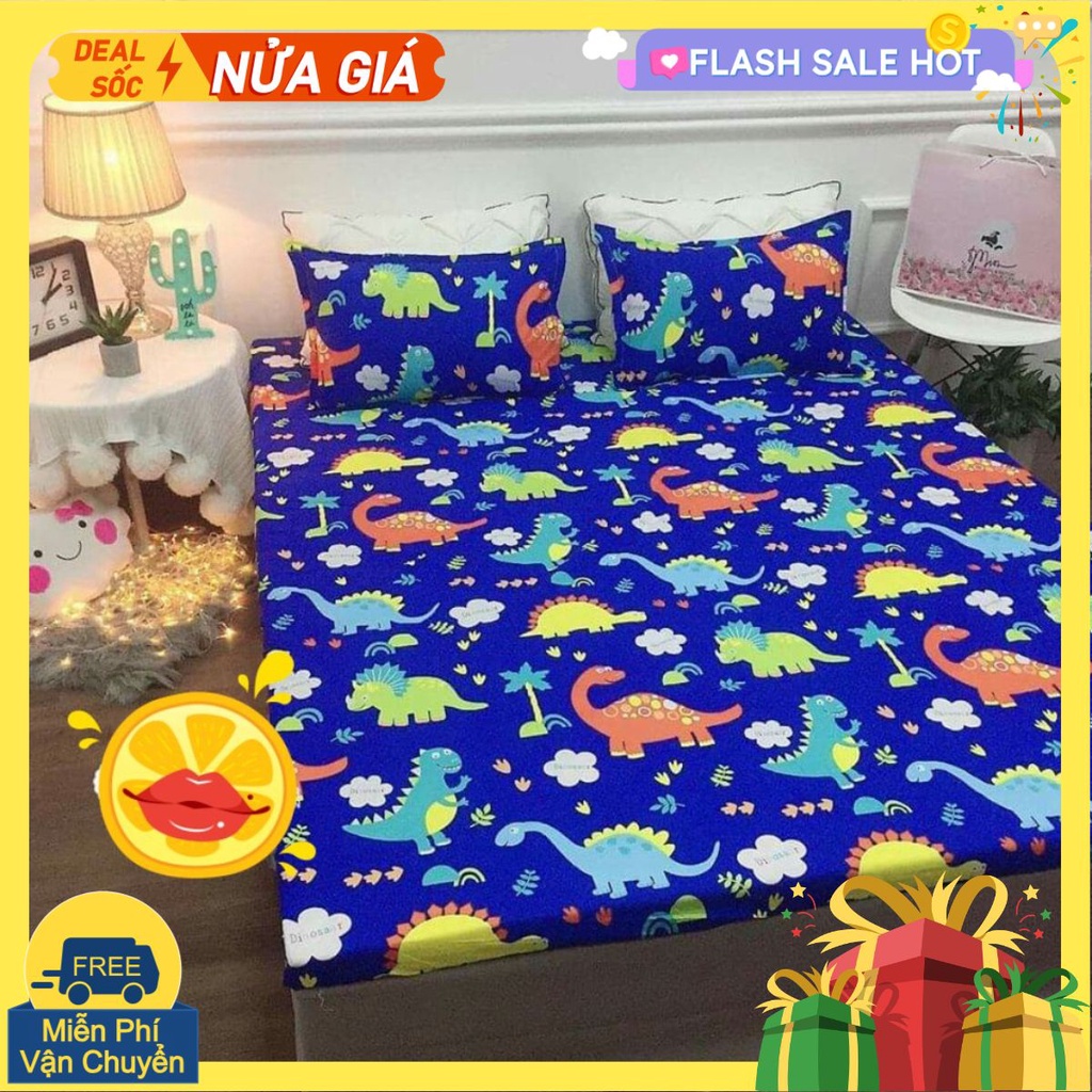 Bộ ga gối Drap 1m2 Cotton Poly Vikona mã 04
