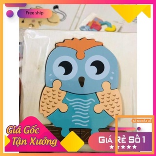 Combo Đồ Chơi cho Bé "Teppi sẽ lớn khôn ko cần đến IPad"    CHOITEAK Shop