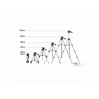 Bộ gậy Tripod 3110