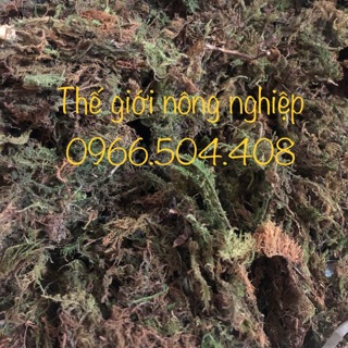 Rêu rừng (220gr) rêu khô rất nhẹ