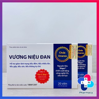 VƯƠNG NIỆU ĐAN (20 viên) - Hỗ trợ giảm tình trạng tiểu đêm, tiểu nhiều lần.